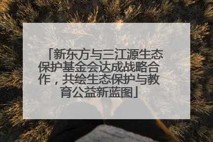 新东方与三江源生态保护基金会达成战略合作，共绘生态保护与教育公益新蓝图