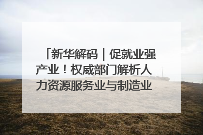 新华解码｜促就业强产业！权威部门解析人力资源服务业与制造业融合发展试点