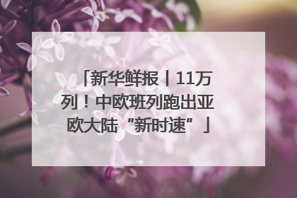 新华鲜报丨11万列！中欧班列跑出亚欧大陆“新时速”