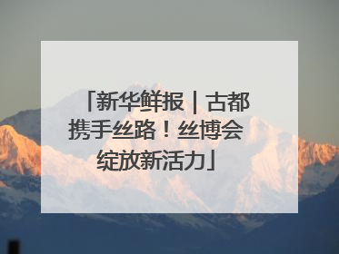新华鲜报｜古都携手丝路！丝博会绽放新活力