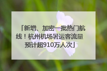 新增、加密一批热门航线！杭州机场暑运客流量预计超910万人次