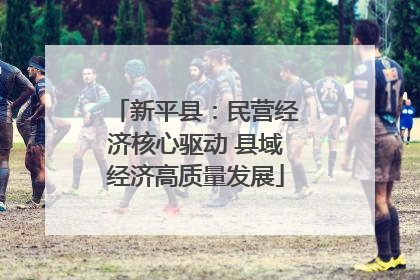 新平县：民营经济核心驱动 县域经济高质量发展
