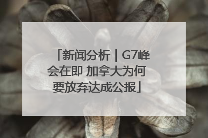新闻分析｜G7峰会在即 加拿大为何要放弃达成公报