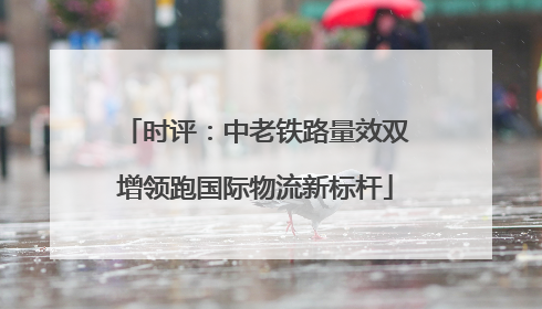 时评：中老铁路量效双增领跑国际物流新标杆
