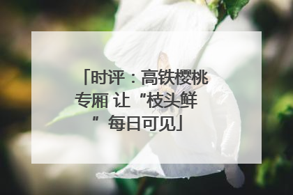 时评：高铁樱桃专厢 让“枝头鲜”每日可见