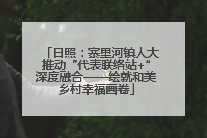 日照：寨里河镇人大推动“代表联络站+”深度融合——绘就和美乡村幸福画卷