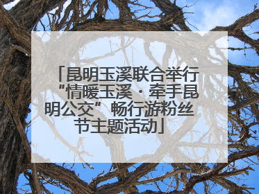昆明玉溪联合举行“情暖玉溪・牵手昆明公交”畅行游粉丝节主题活动