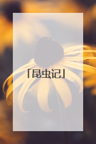 昆虫记