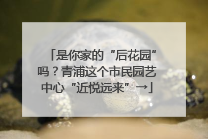 是你家的“后花园”吗？青浦这个市民园艺中心“近悦远来”→