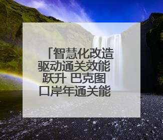 智慧化改造驱动通关效能跃升 巴克图口岸年通关能力将突破300万吨