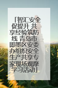 智汇安全促提升 共享经验筑防线 青岛市即墨区安委办组织安全生产共享专家现场观摩学习活动