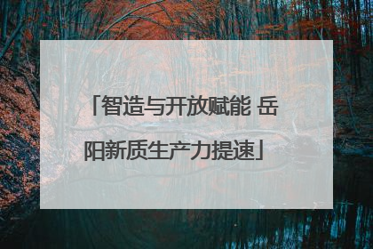 智造与开放赋能 岳阳新质生产力提速