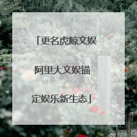 更名虎鲸文娱 阿里大文娱锚定娱乐新生态
