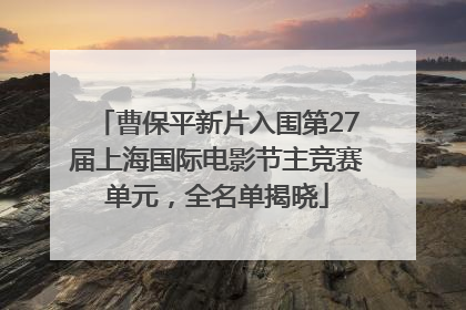 曹保平新片入围第27届上海国际电影节主竞赛单元，全名单揭晓