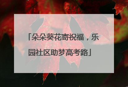 朵朵葵花寄祝福，乐园社区助梦高考路