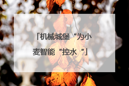 机械城堡“为小麦智能“控水“