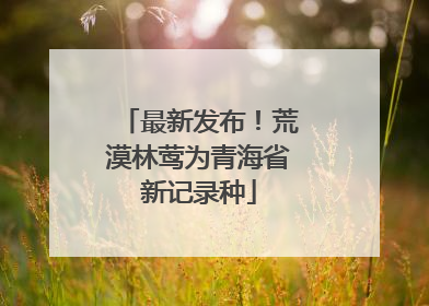 最新发布！荒漠林莺为青海省新记录种