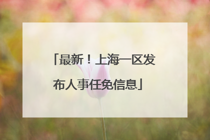 最新！上海一区发布人事任免信息