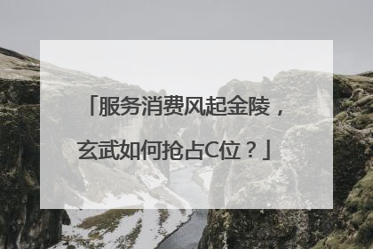 服务消费风起金陵，玄武如何抢占C位？
