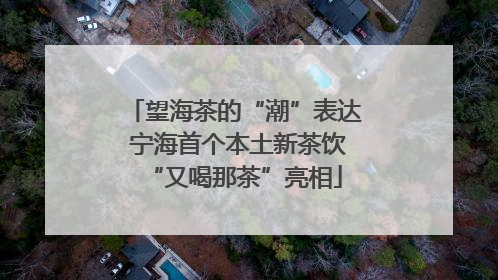 望海茶的“潮”表达 宁海首个本土新茶饮“又喝那茶”亮相