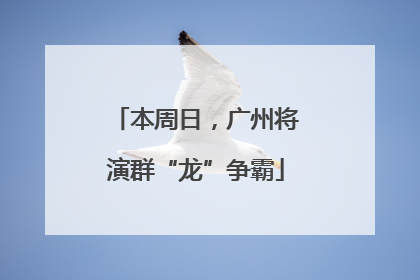 本周日，广州将演群“龙”争霸