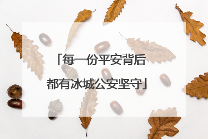 每一份平安背后 都有冰城公安坚守