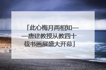 此心梅月两相知——唐建教授从教四十载书画展盛大开幕