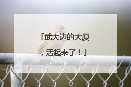 武大边的大厦，活起来了！