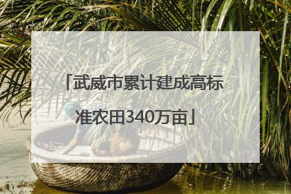 武威市累计建成高标准农田340万亩