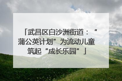 武昌区白沙洲街道：“蒲公英计划”为流动儿童筑起“成长乐园”