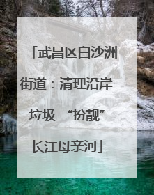 武昌区白沙洲街道：清理沿岸垃圾 “扮靓”长江母亲河