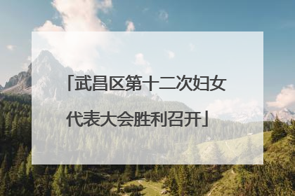 武昌区第十二次妇女代表大会胜利召开