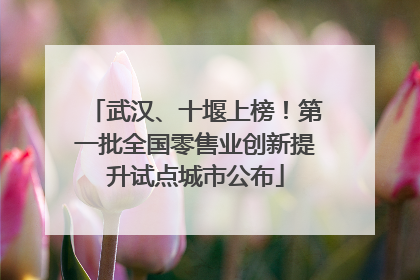 武汉、十堰上榜！第一批全国零售业创新提升试点城市公布