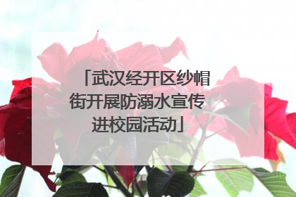 武汉经开区纱帽街开展防溺水宣传进校园活动