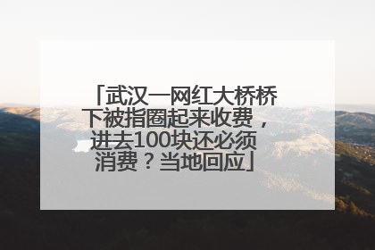 武汉一网红大桥桥下被指圈起来收费，进去100块还必须消费？当地回应