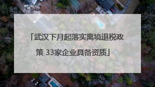 武汉下月起落实离境退税政策 33家企业具备资质