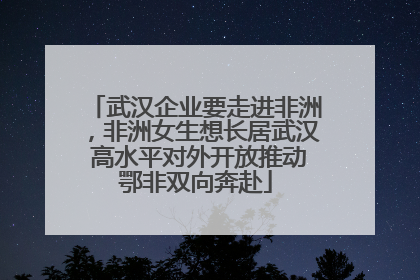 武汉企业要走进非洲，非洲女生想长居武汉 高水平对外开放推动鄂非双向奔赴