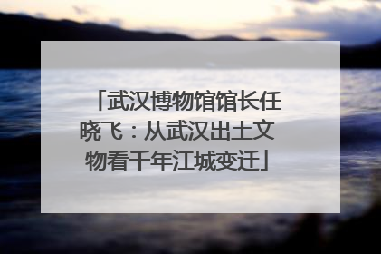 武汉博物馆馆长任晓飞：从武汉出土文物看千年江城变迁