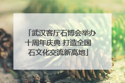 武汉客厅石博会举办十周年庆典 打造全国石文化交流新高地