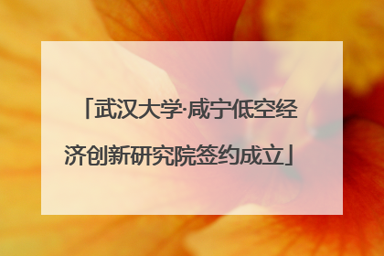 武汉大学·咸宁低空经济创新研究院签约成立