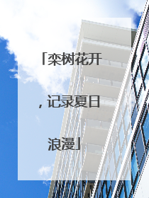 栾树花开，记录夏日浪漫