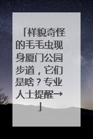 样貌奇怪的毛毛虫现身厦门公园步道，它们是啥？专业人士提醒→