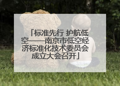 标准先行 护航低空——南京市低空经济标准化技术委员会成立大会召开