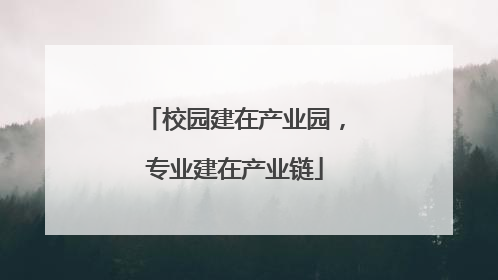 校园建在产业园，专业建在产业链
