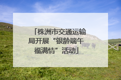 株洲市交通运输局开展“银龄端午福满情”活动
