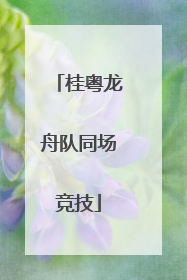 桂粤龙舟队同场竞技