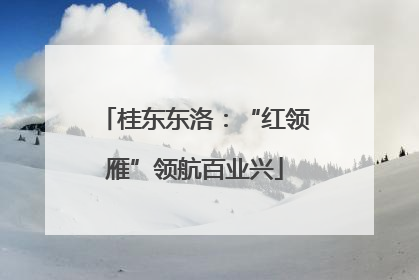 桂东东洛：“红领雁”领航百业兴