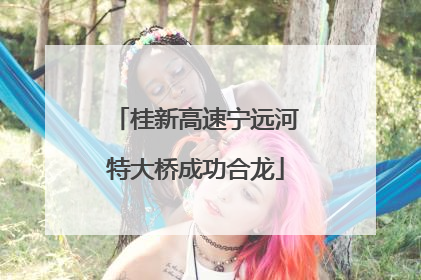 桂新高速宁远河特大桥成功合龙