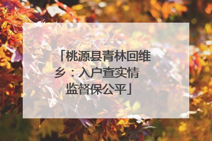 桃源县青林回维乡：入户查实情 监督保公平