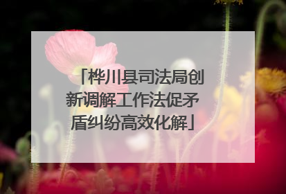 桦川县司法局创新调解工作法促矛盾纠纷高效化解